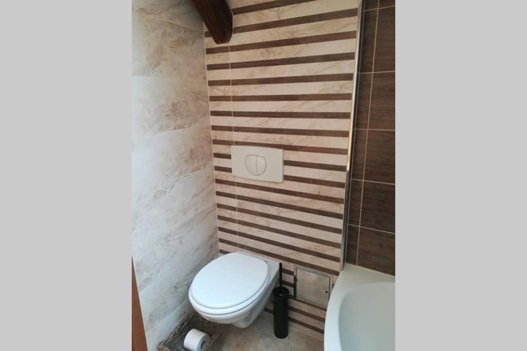 Vip Apartment In Old Town With Free Parking براتسيلافا المظهر الخارجي الصورة