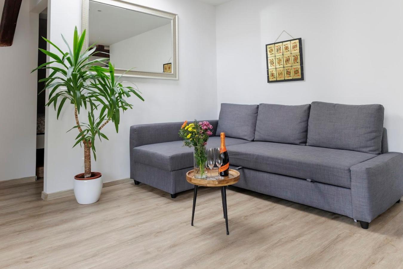 Vip Apartment In Old Town With Free Parking براتسيلافا المظهر الخارجي الصورة